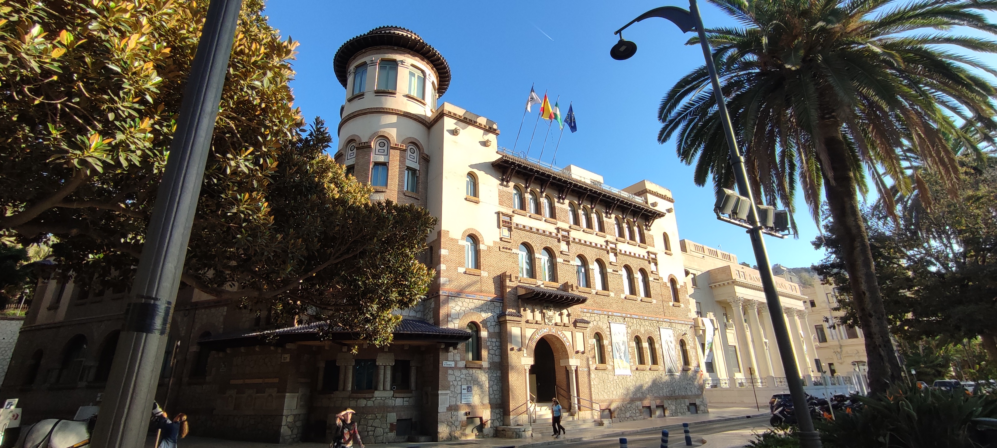 SELIM35 - University of Malaga